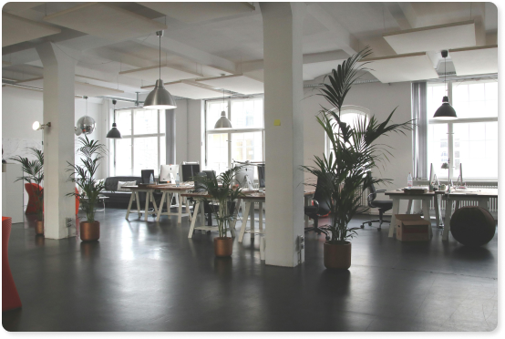 COMMERCIAL CLEANING